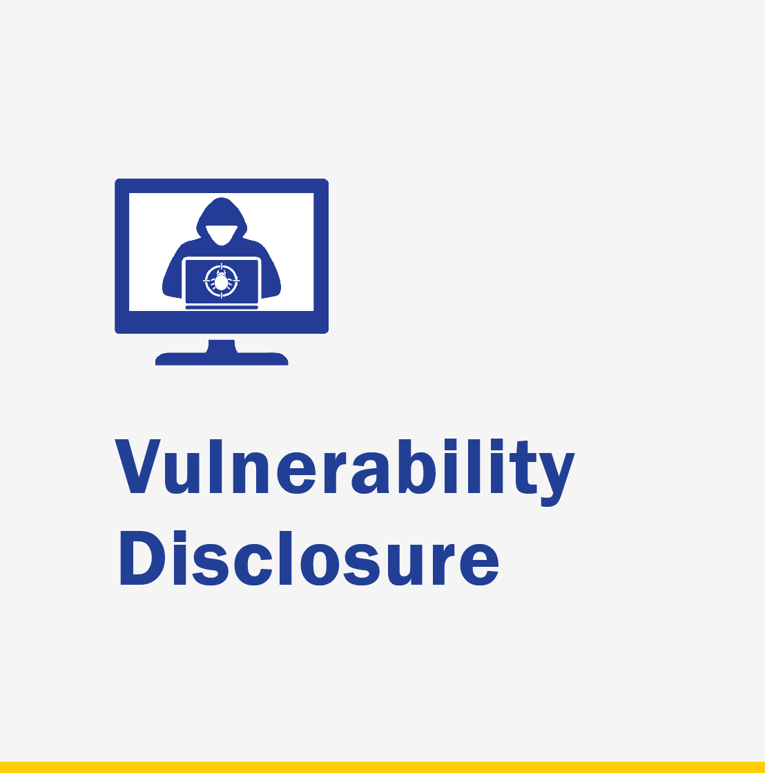 Vulnerability Disclosure